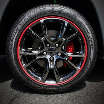 AlloyGator Red Wheel Rim Protectors