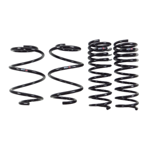 lowering-springs-rsr-removebg.png