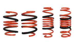 Type SS Sport Lowering Springs